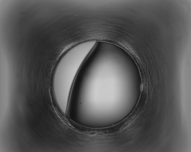 X0000086770434200704130840
