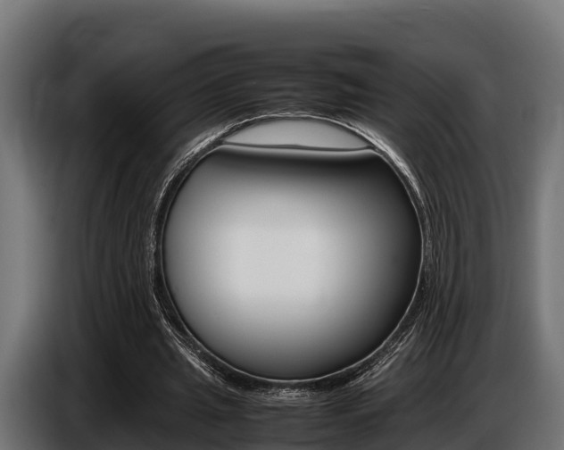X0000086770437200704130840