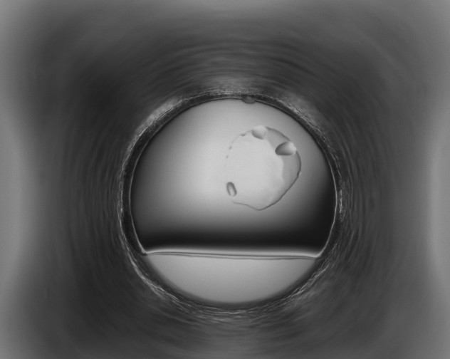 X0000086770438200704130840