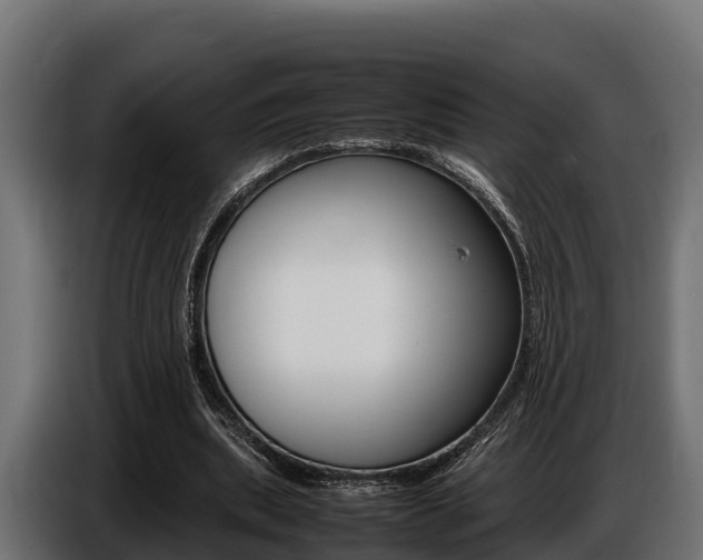X0000086770439200704130840