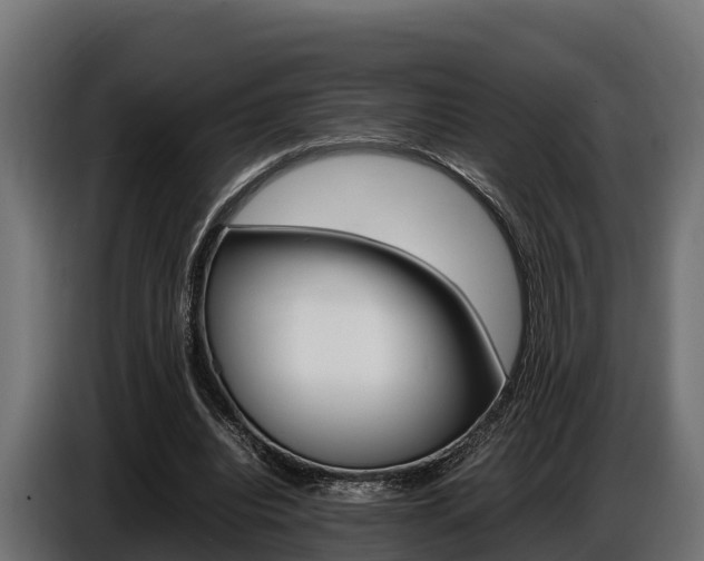 X0000086770440200704130840
