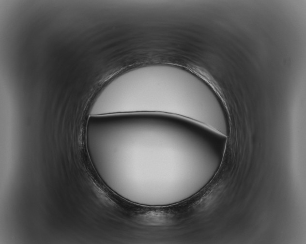 X0000086770441200704130840