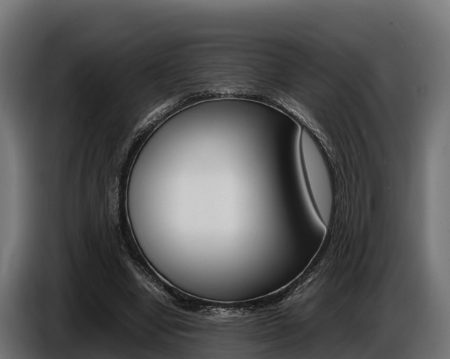 X0000086770442200704130840