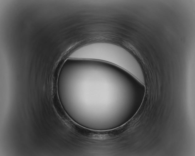 X0000086770444200704130840