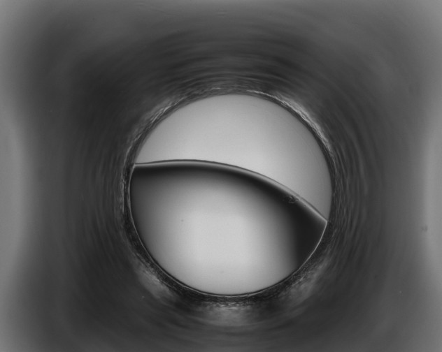 X0000086770445200704130840