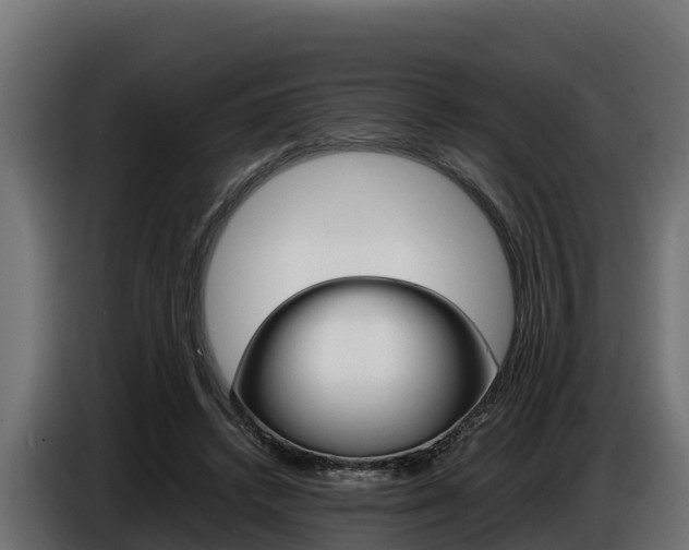 X0000086770448200704130840