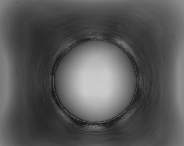 X0000086770449200704130840