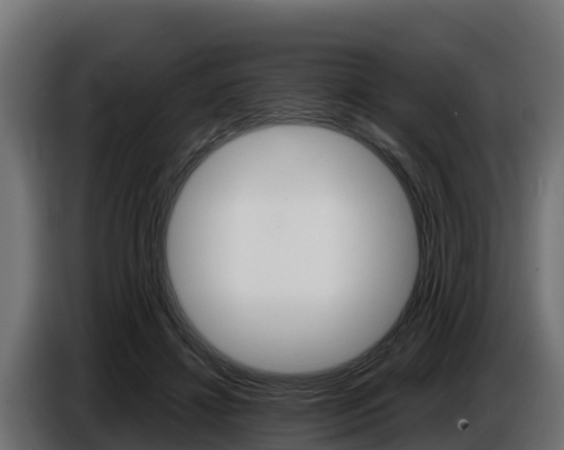 X0000086770452200704130840