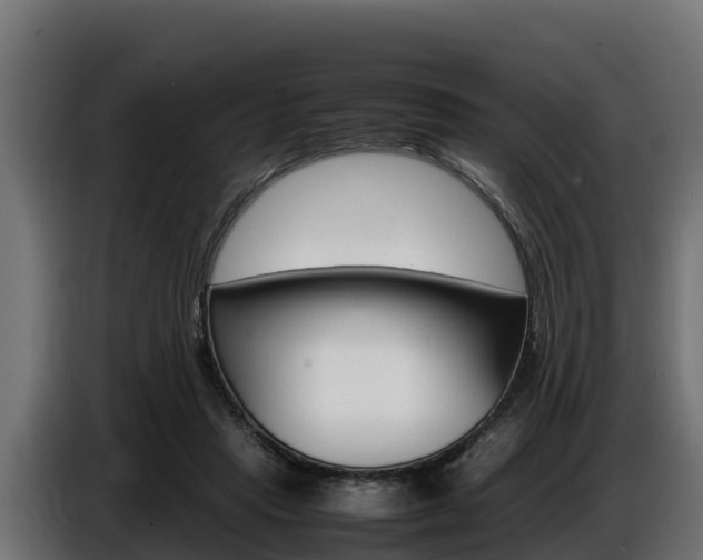 X0000086770453200704130840
