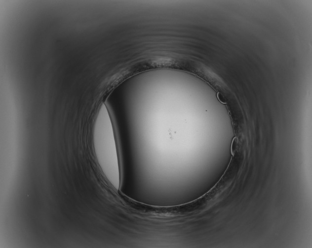 X0000086770454200704130840