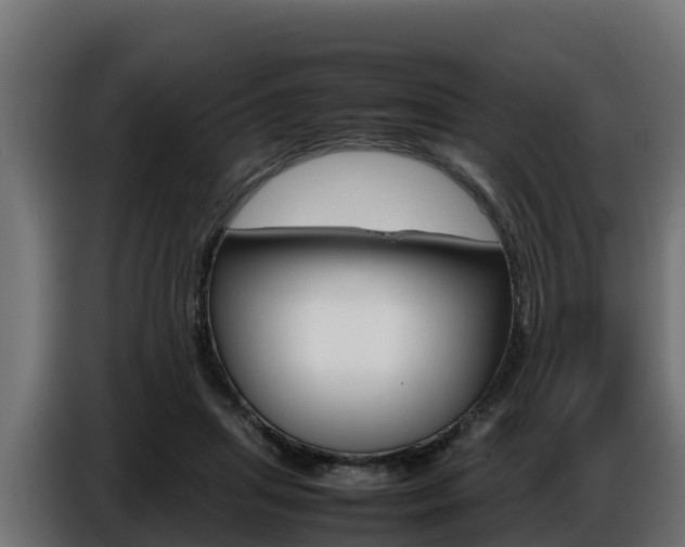 X0000086770455200704130840