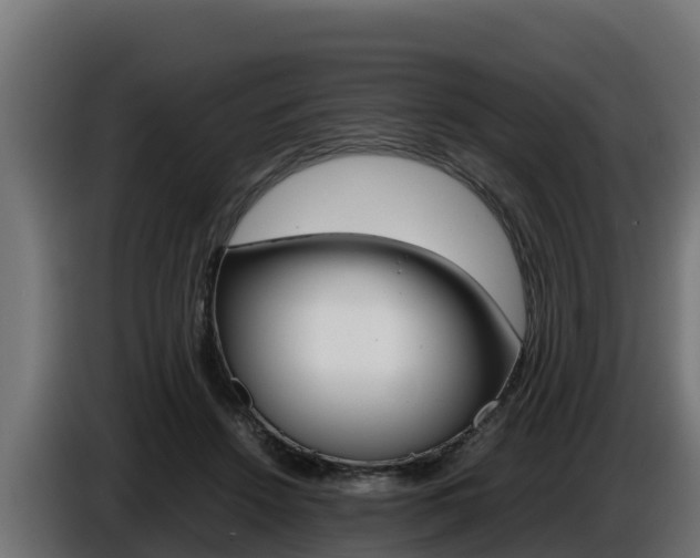 X0000086770456200704130840
