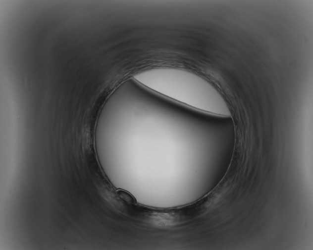 X0000086770457200704130840