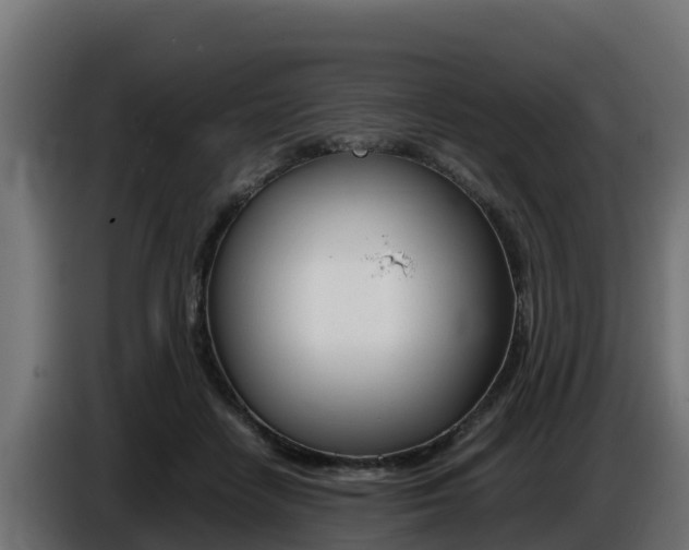X0000086770458200704130840