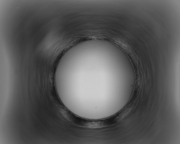 X0000086770461200704130840