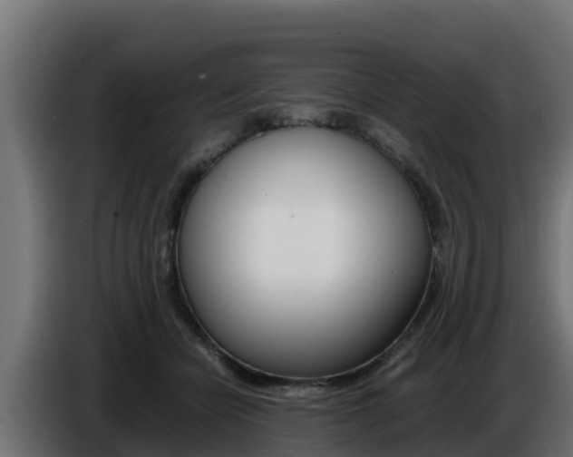 X0000086770462200704130840