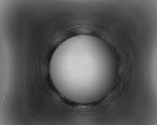 X0000086770464200704130840