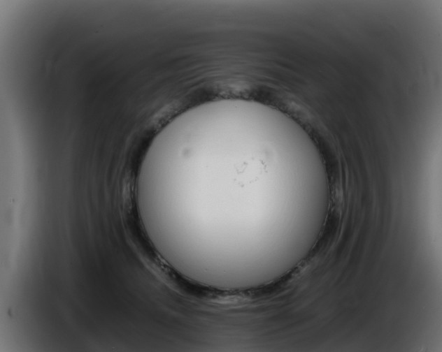 X0000086770468200704130840