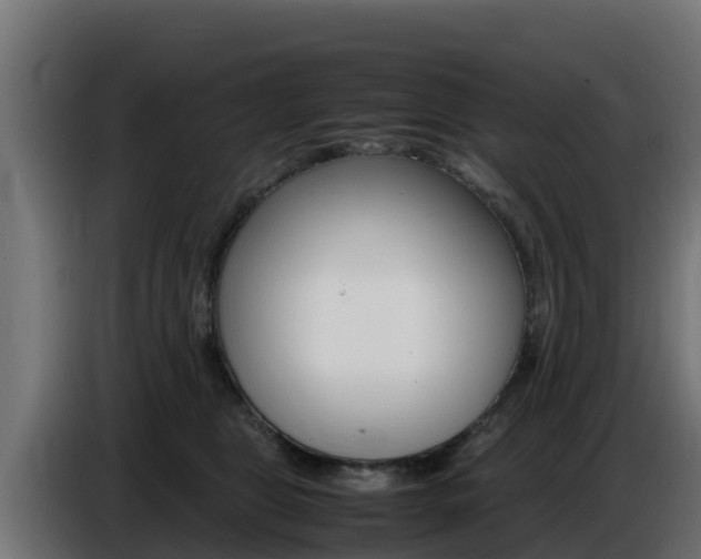 X0000086770469200704130840
