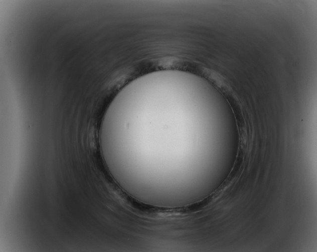 X0000086770470200704130840
