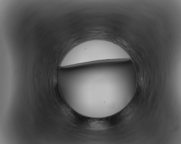 X0000086770471200704130840