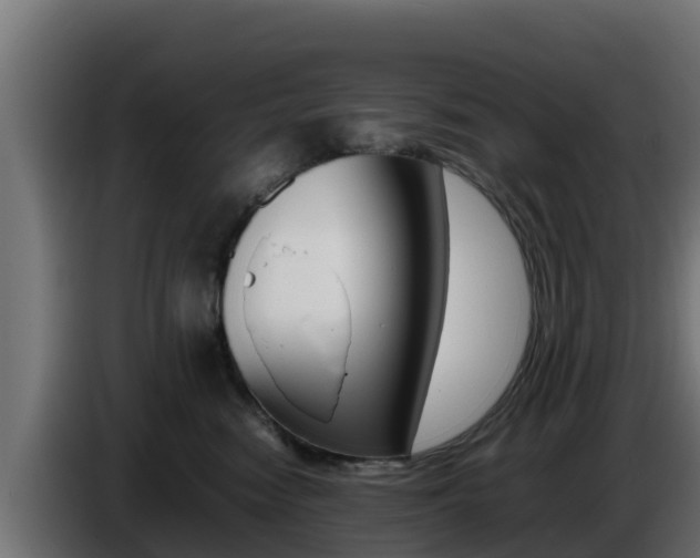 X0000086770474200704130840