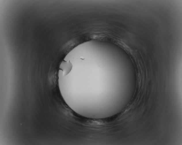 X0000086770475200704130840