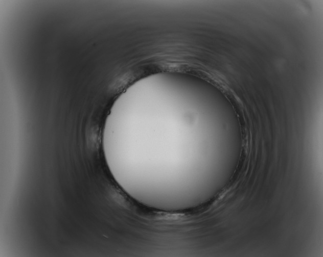 X0000086770476200704130840