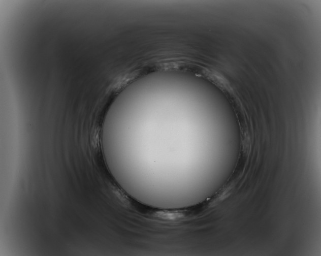 X0000086770477200704130840