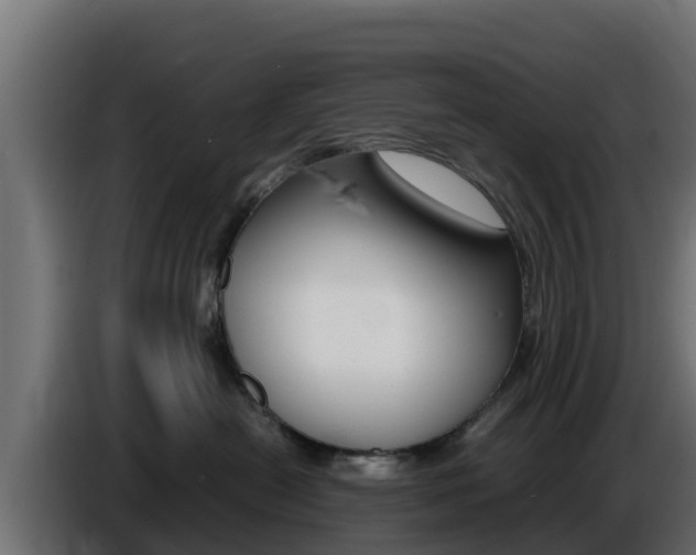 X0000086770478200704130840