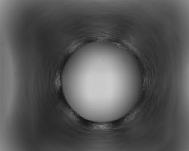 X0000086770479200704130840