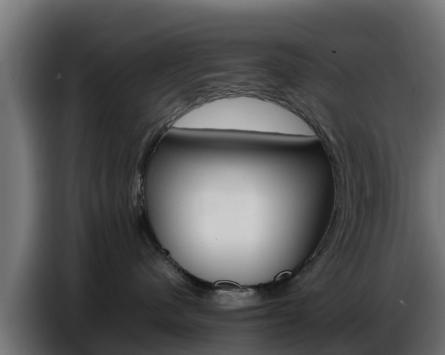 X0000086770480200704130840