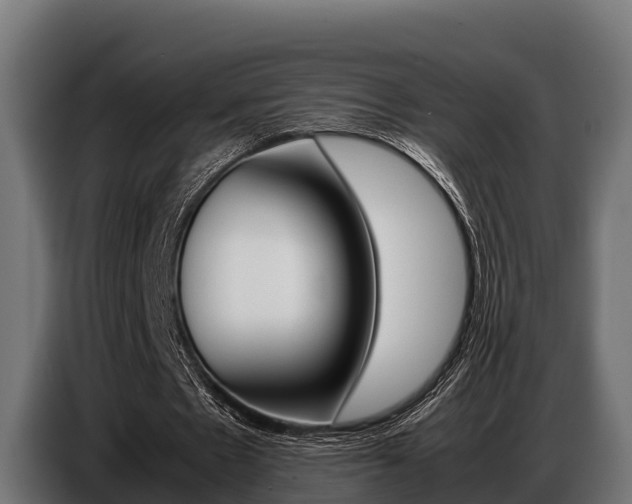 X0000086770481200704130840