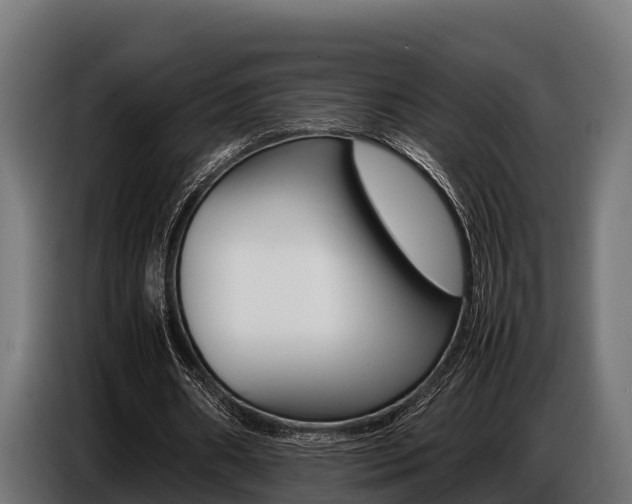 X0000086770482200704130840