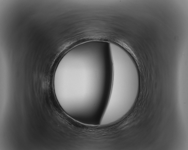 X0000086770483200704130840