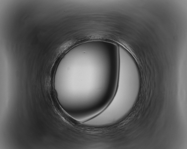 X0000086770485200704130840