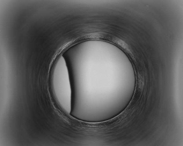 X0000086770486200704130840
