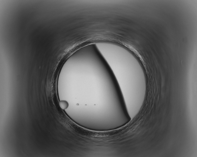 X0000086770487200704130840