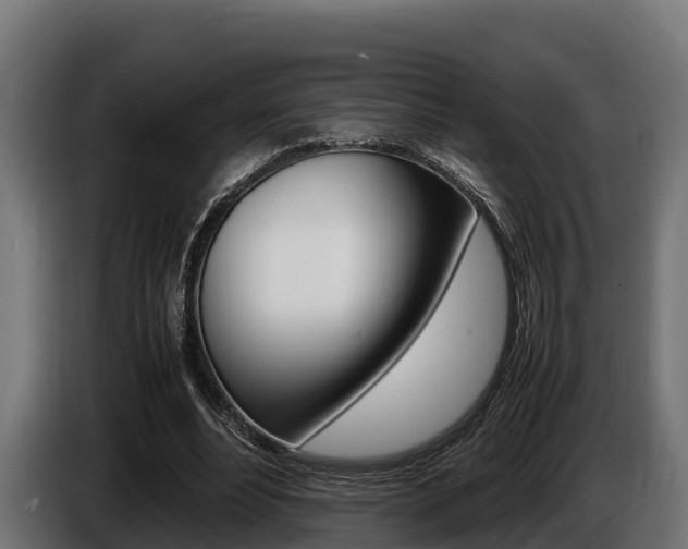 X0000086770488200704130840