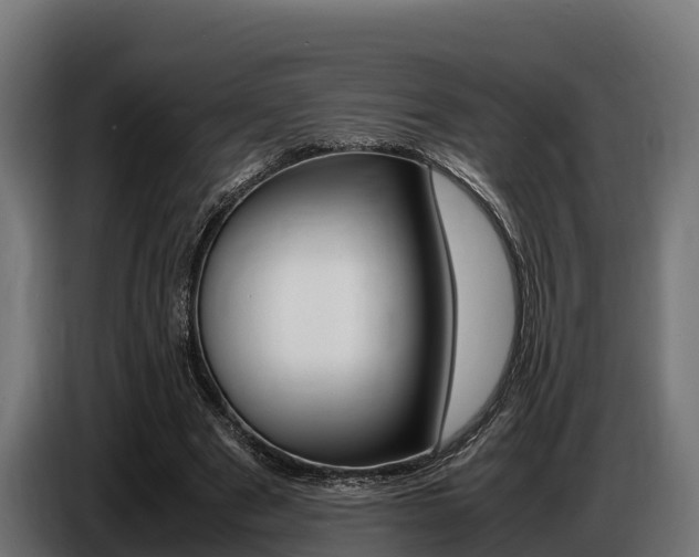 X0000086770489200704130840