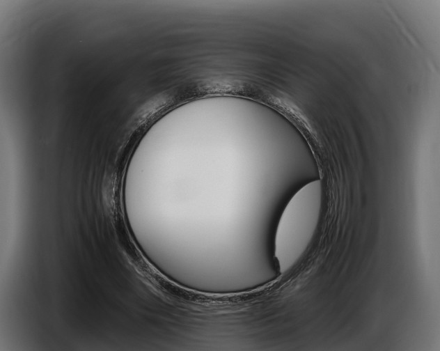 X0000086770490200704130840
