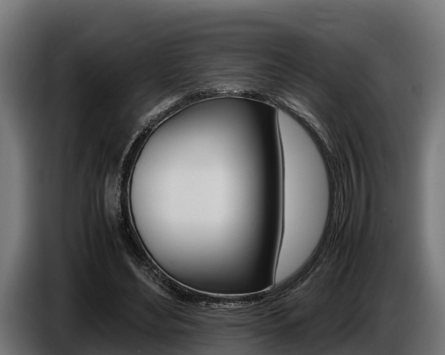 X0000086770492200704130839