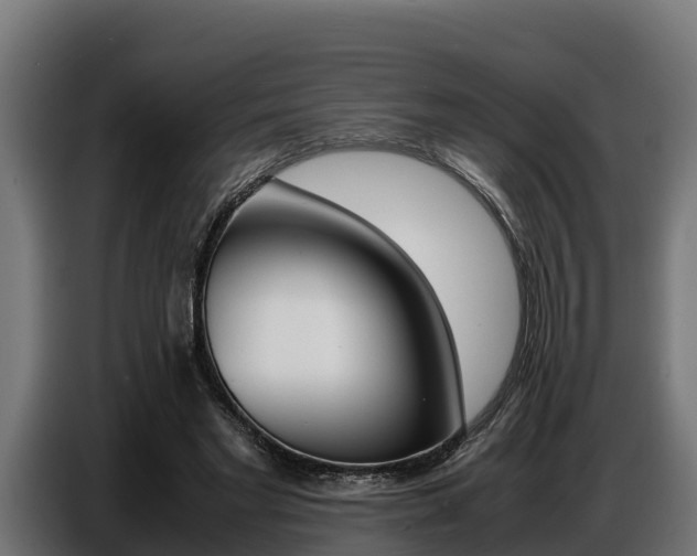 X0000086770493200704130839