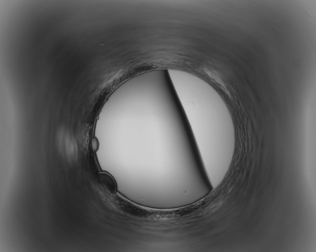 X0000086770495200704130839