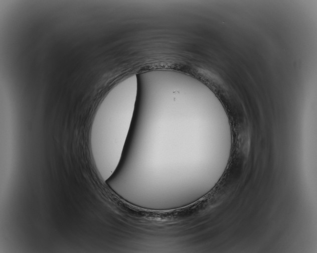 X0000086770498200704130839