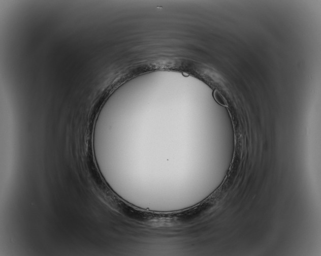 X0000086770499200704130839