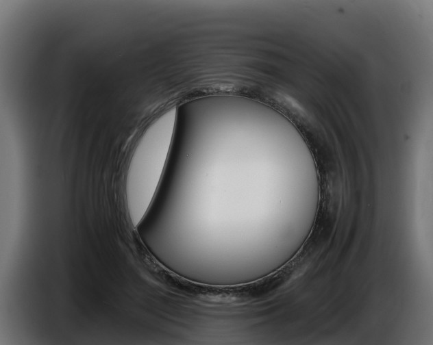 X0000086770500200704130839