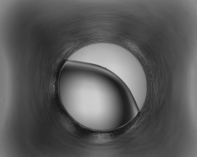 X0000086770501200704130839