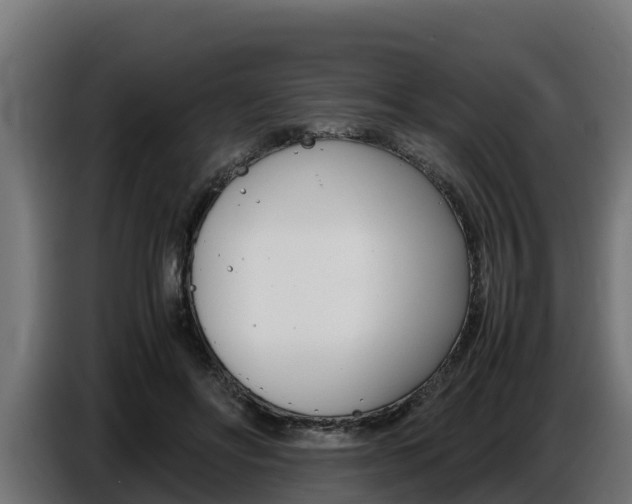X0000086770502200704130839