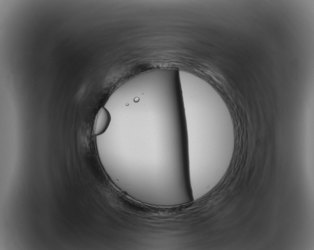 X0000086770503200704130839